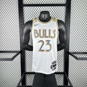 25th Season Bulls City Edition No. 23 Jordan