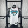 25th Season Grizzlies Retro No. 23 Rose
